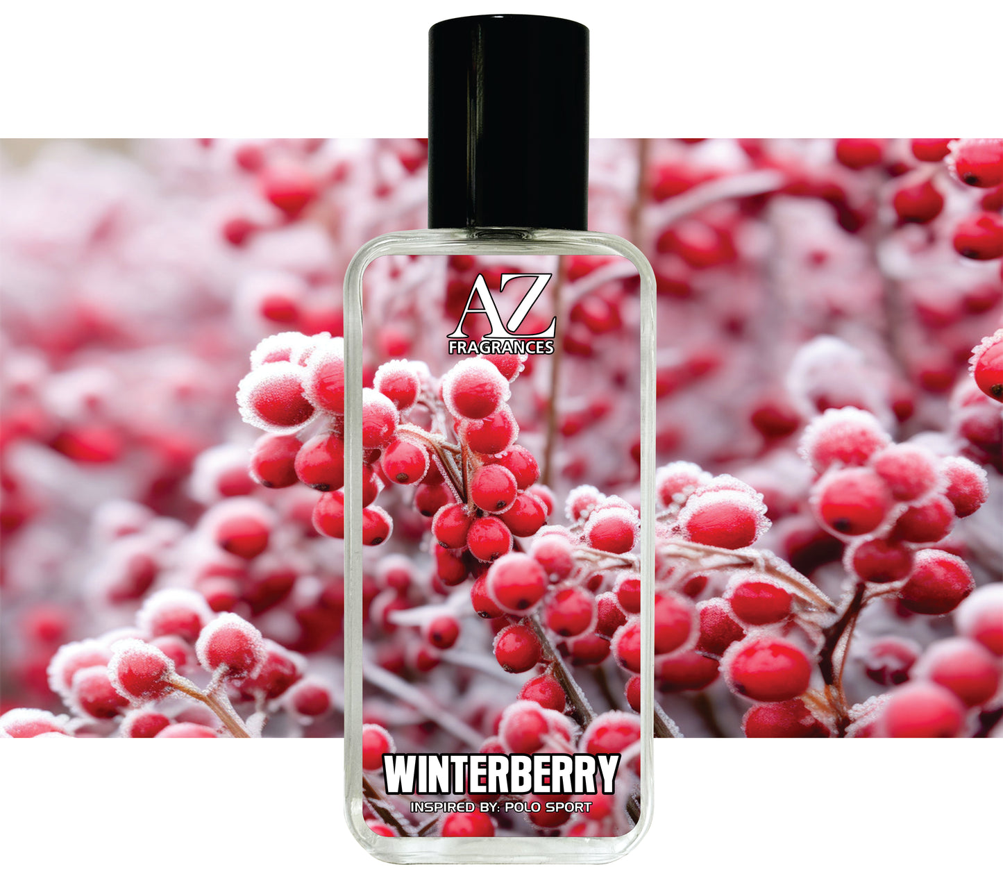 Winterberry -Inspired By Polo Sport